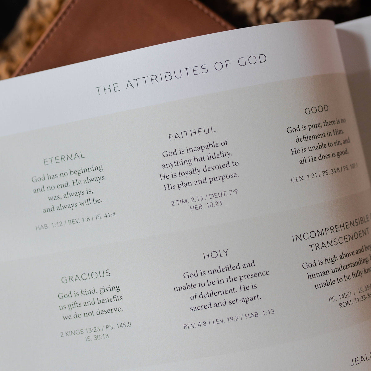 Esther, Seeing God When He Is Silent – Lavish 31 (view 5)