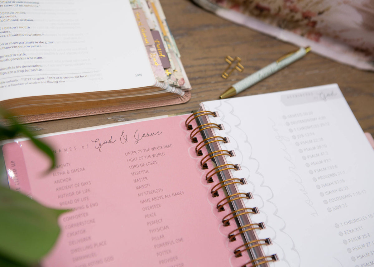 Be Still Prayer Journal, Womens Prayer Journal – Lavish 31 (view 16)