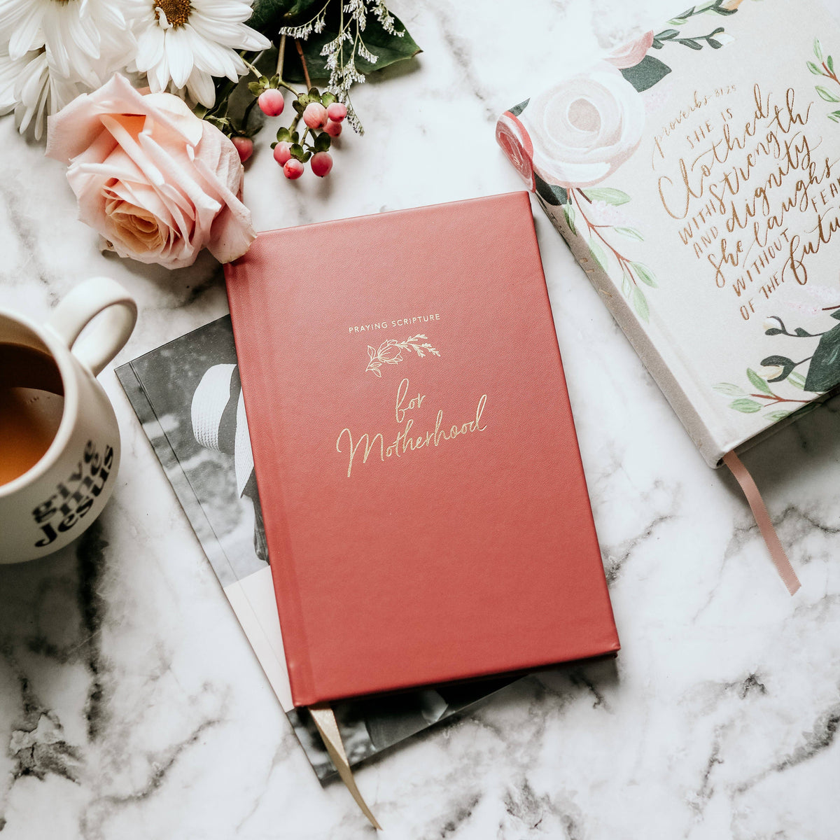 Praying Scripture for Motherhood Journal – Lavish 31 (view 9)