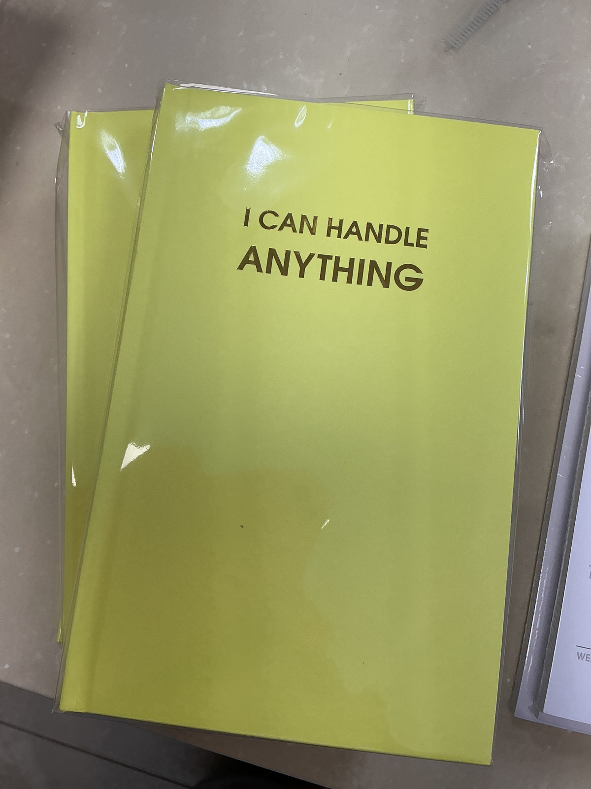 I can handle anything notebook – Lavish 31