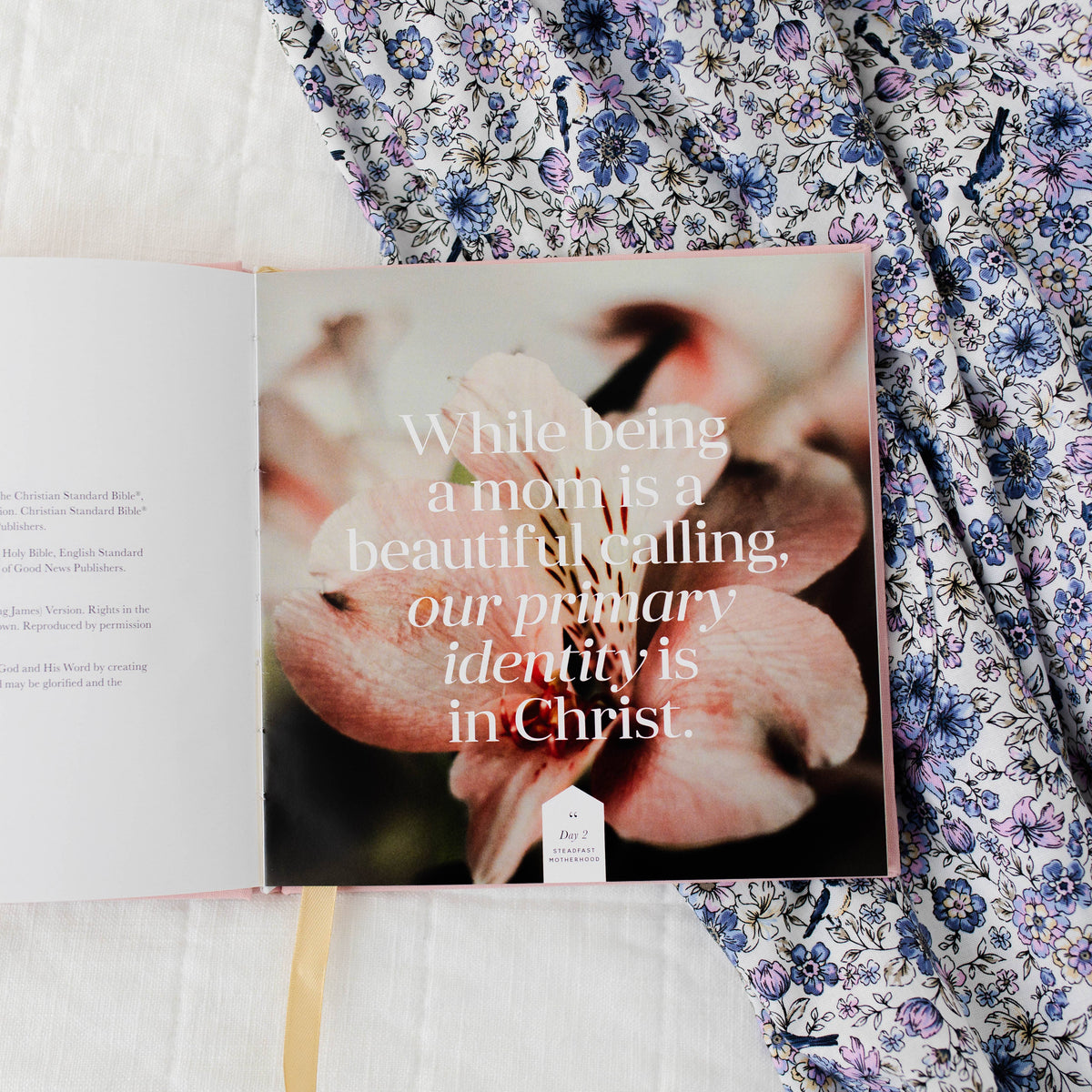 Steadfast motherhood, 60 Days of Abiding in Christ – Lavish 31 (view 2)