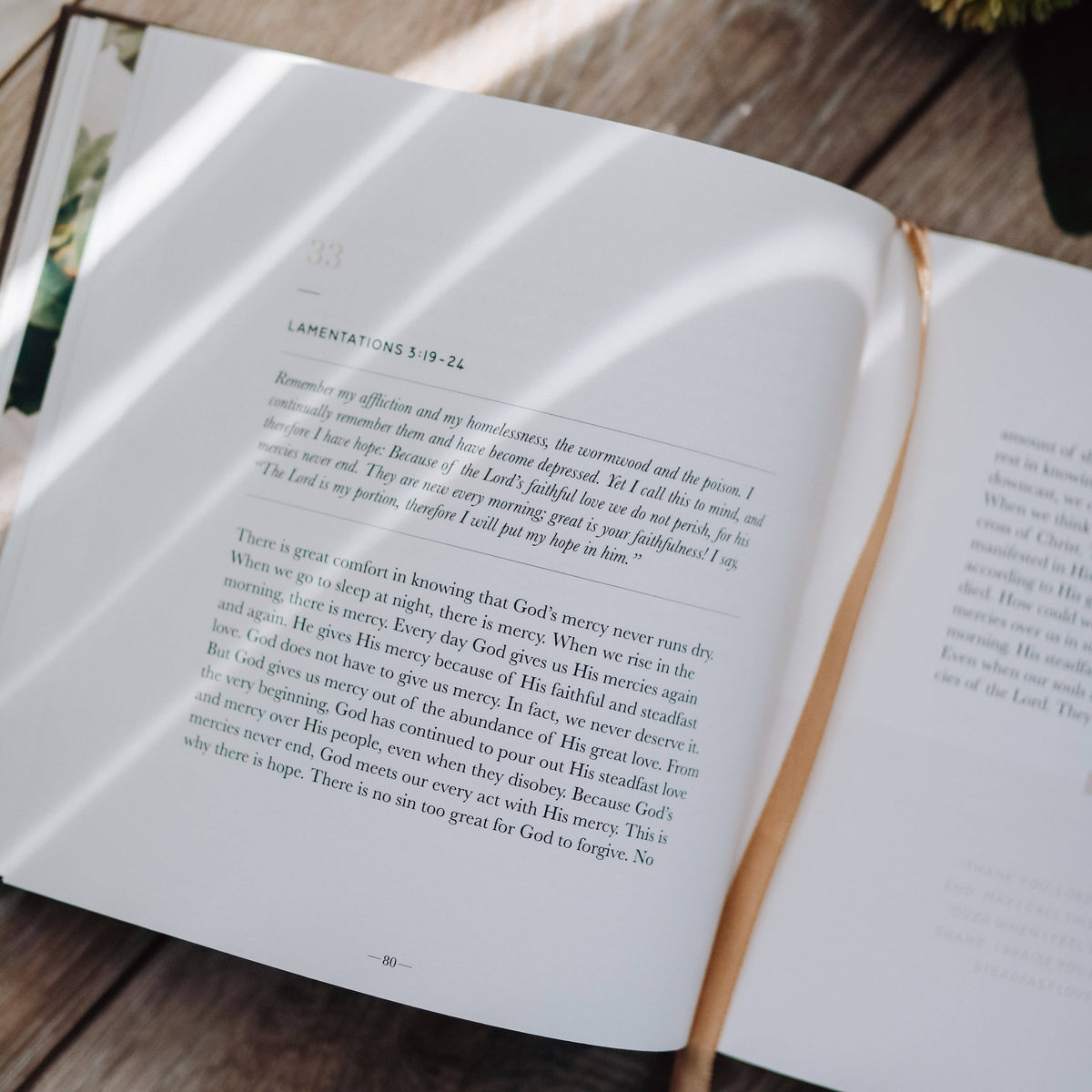 Take Heart, A 90-Day Devotional – Lavish 31 (view 3)