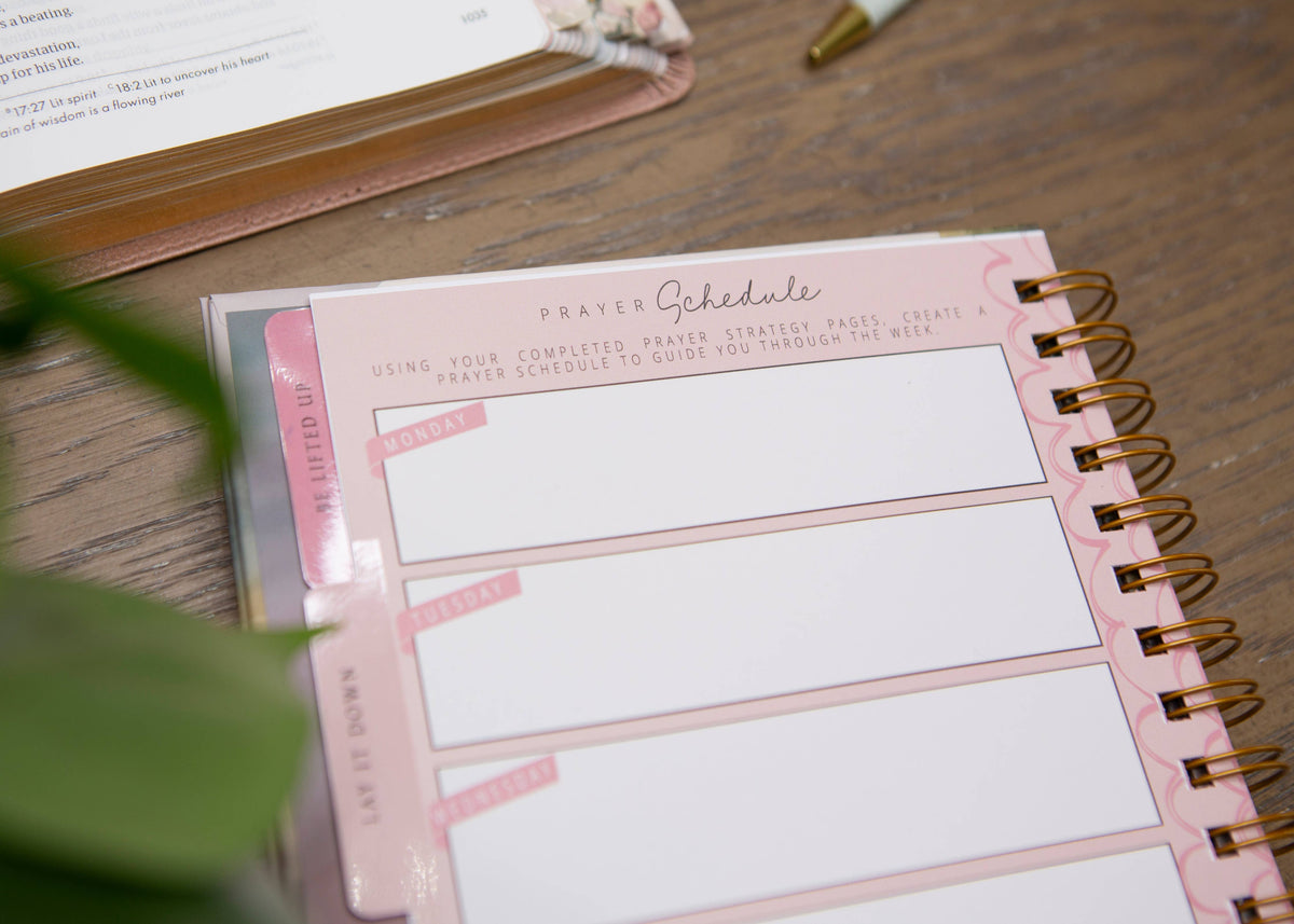 Be Still Prayer Journal, Womens Prayer Journal – Lavish 31 (view 6)