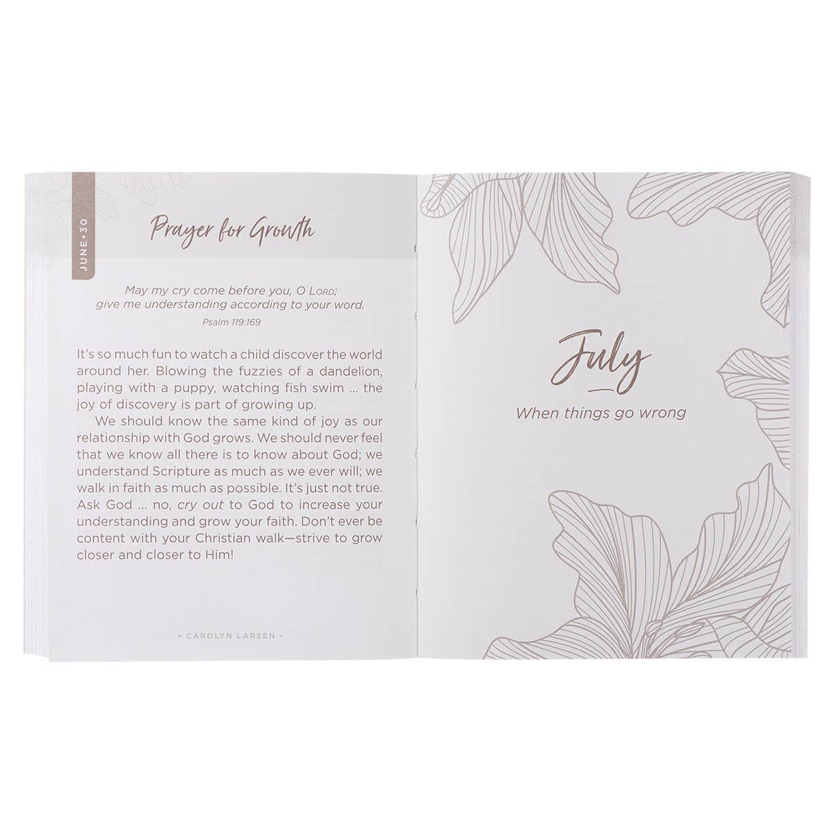 One-Minute Devotions for Women Softcover – Lavish 31 (view 5)