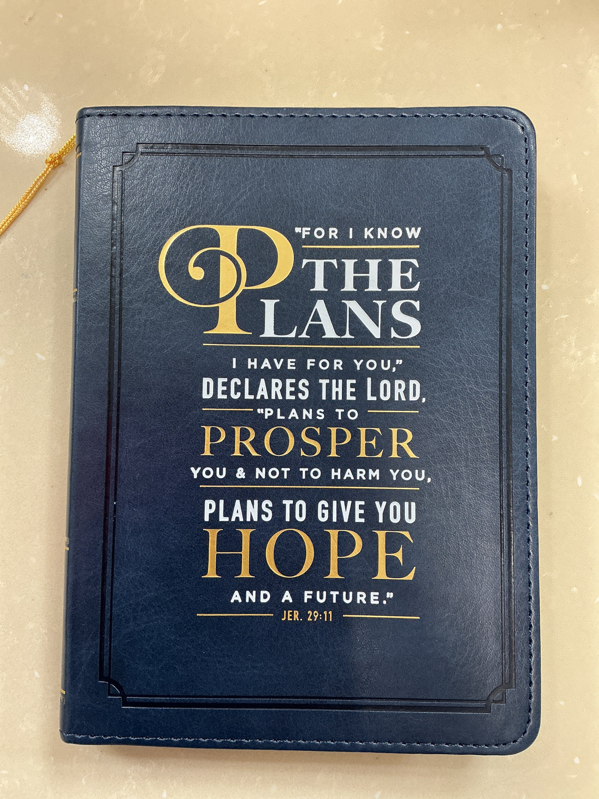 Blue notebook Jeremiah 29:11 – Lavish 31