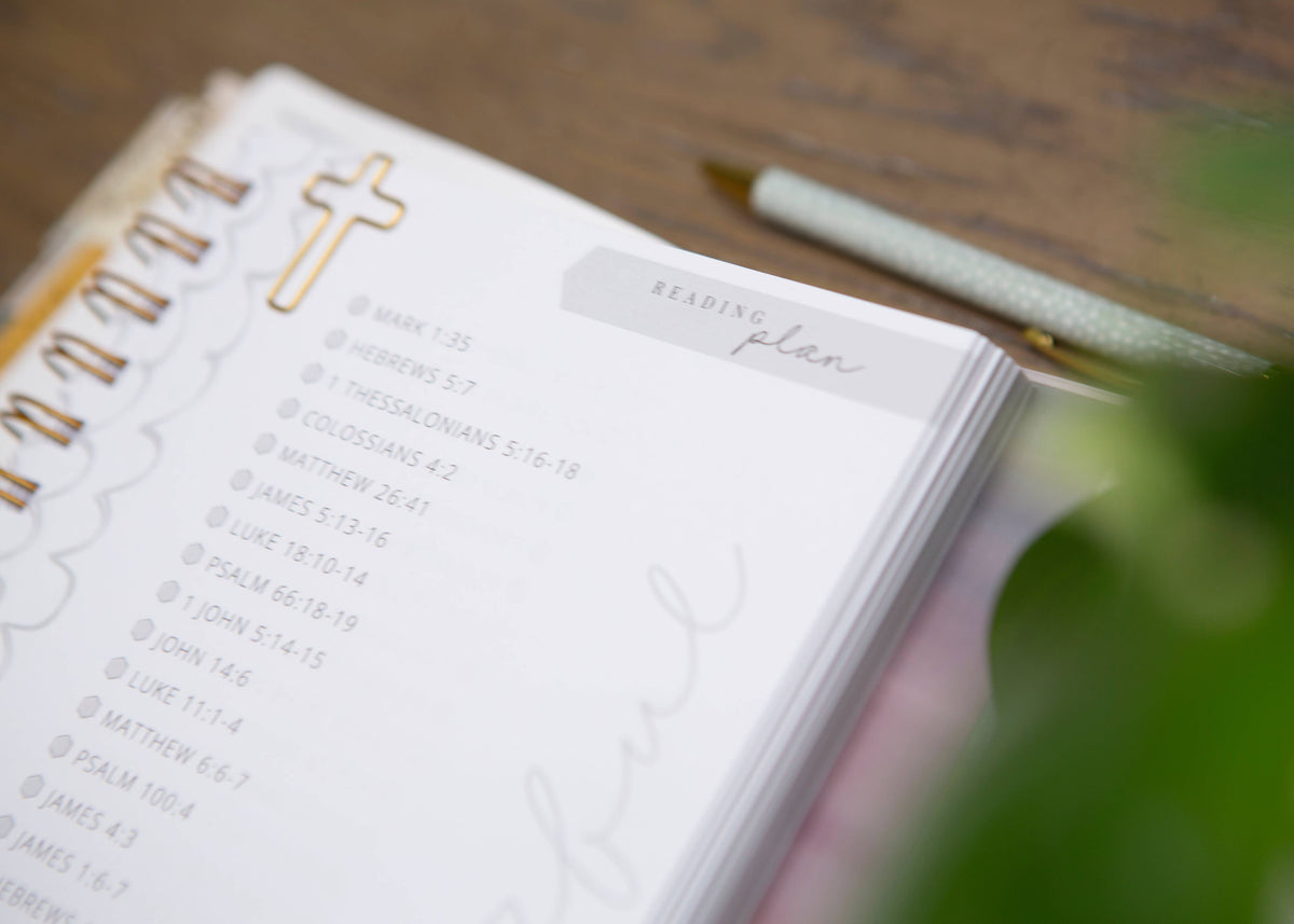 Be Still Prayer Journal, Womens Prayer Journal – Lavish 31 (view 7)