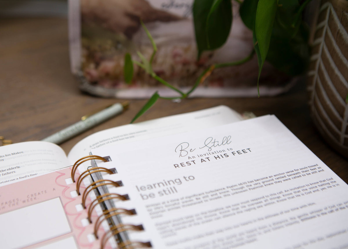 Be Still Prayer Journal, Womens Prayer Journal – Lavish 31 (view 14)